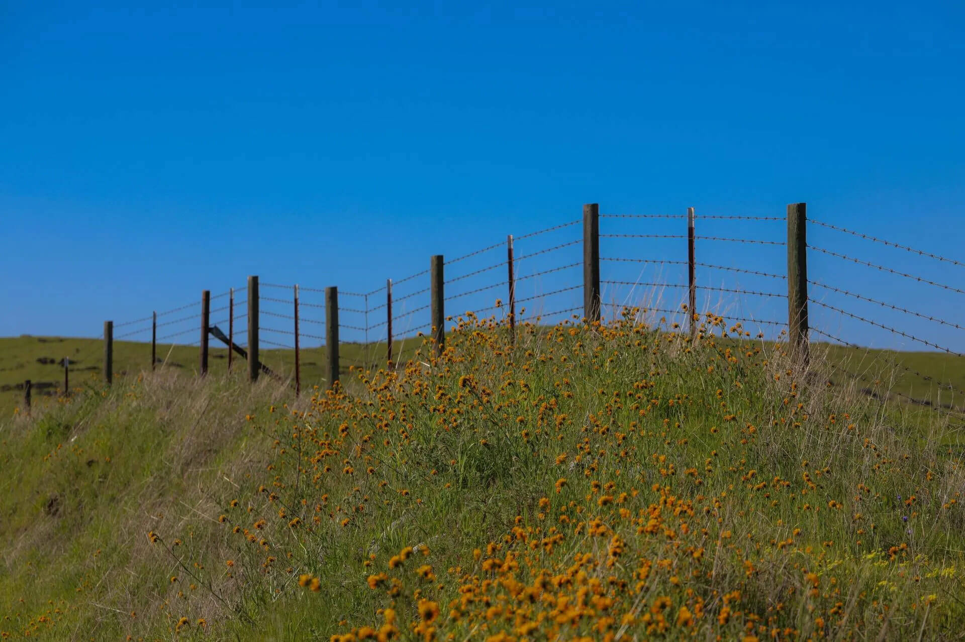 Fencing Contractors